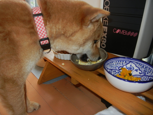 ’!!、2月11日(金)遼くんがスリムボディに~!_f0060461_20361770.jpg