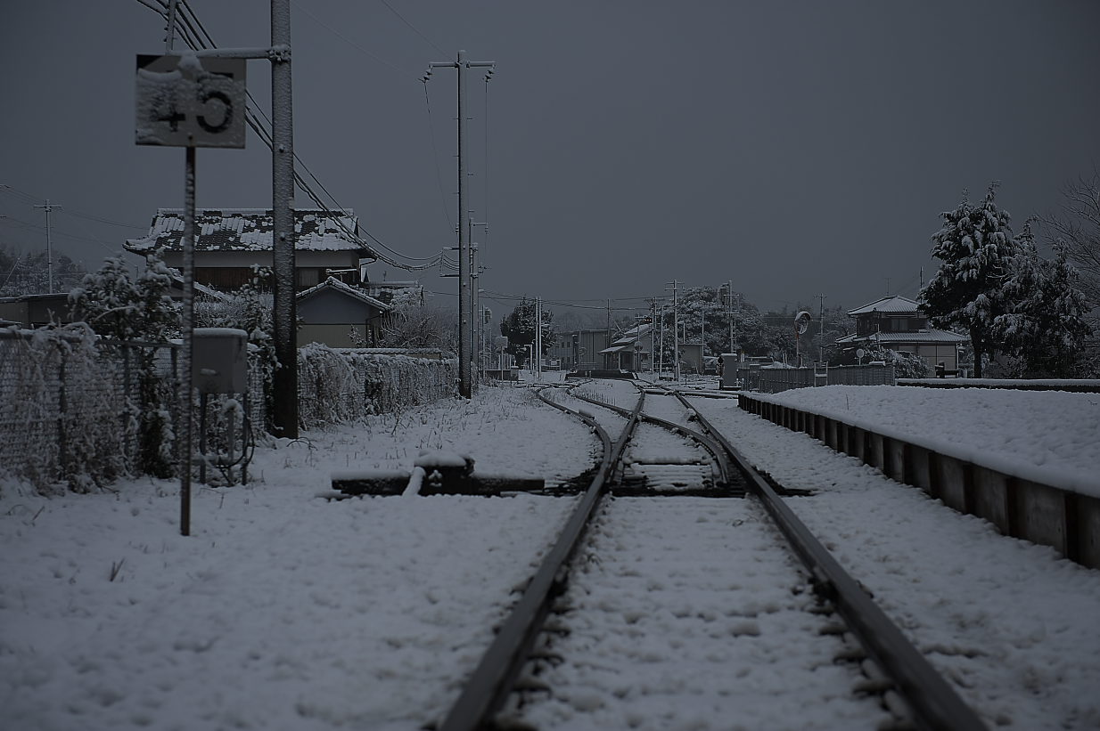 雪の朝_b0112163_23371840.jpg