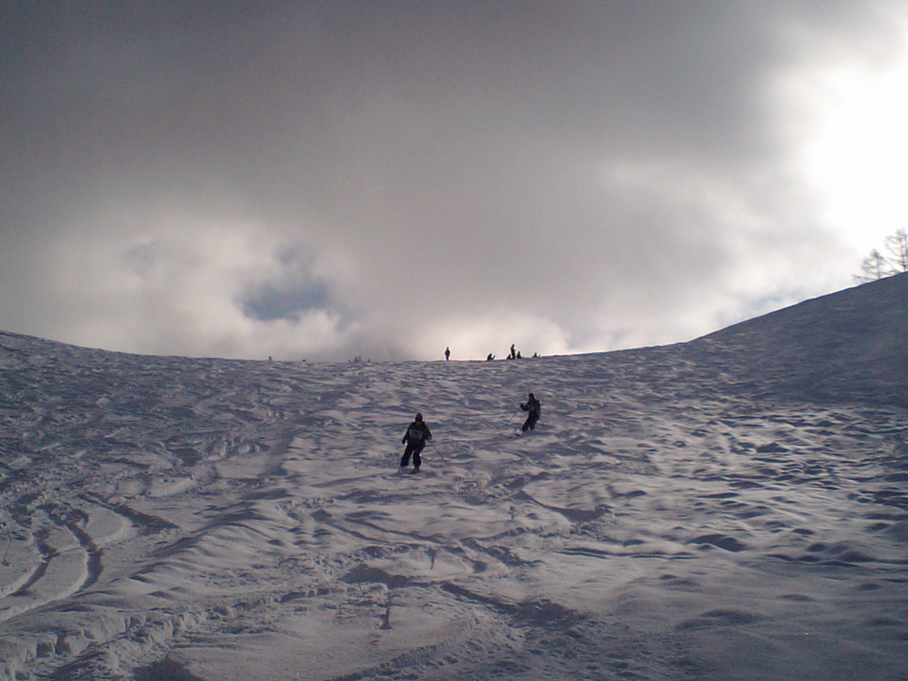 d0098665_21193766.jpg