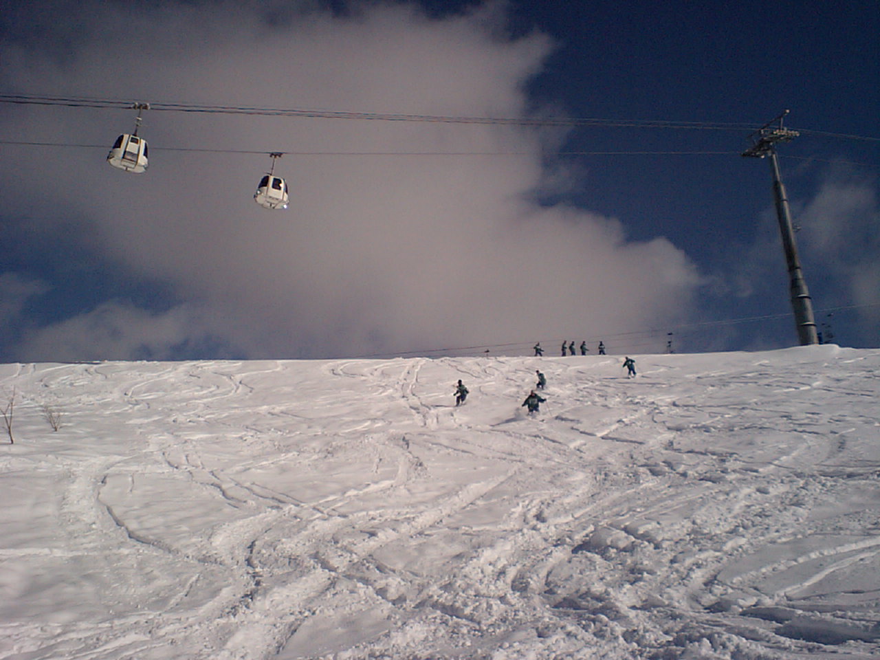 d0098665_21205477.jpg