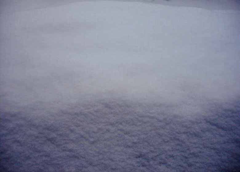 e0126576_12413029.jpg