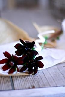 ・choco_b0209477_16341452.jpg