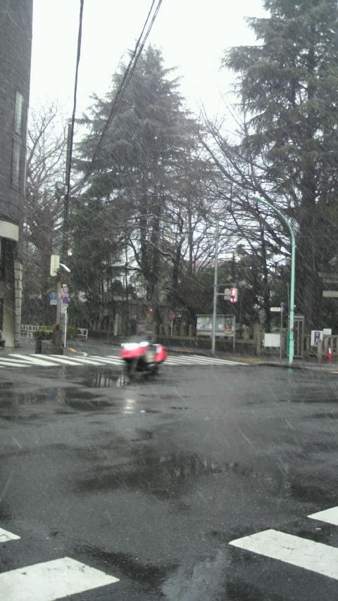 雪なのに_a0075684_18365060.jpg