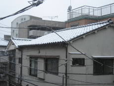 f0091785_17453631.jpg