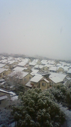 c0109891_1240534.jpg