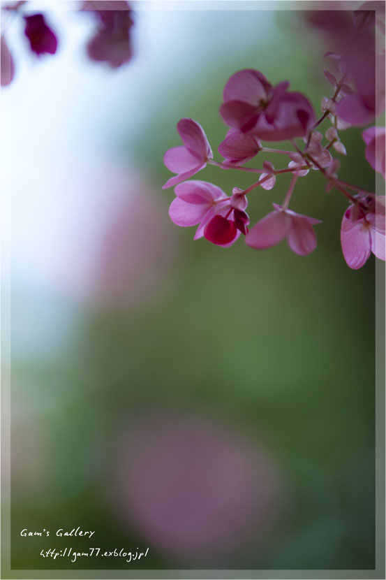 春の足音_f0195893_6353575.jpg