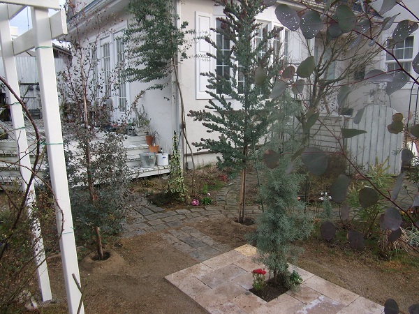 b0207995_1733434.jpg