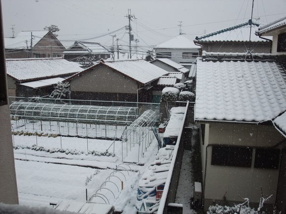 大阪に雪が降って積もった。_b0044296_20514178.jpg