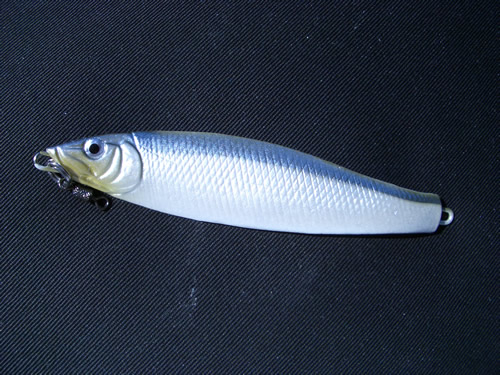 穴釣り特攻君_d0145899_032108.jpg