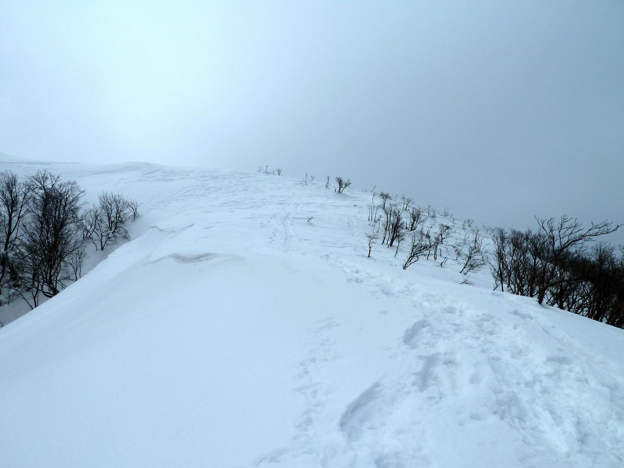 御池岳－雪のテーブルランド周回_e0110500_1483146.jpg