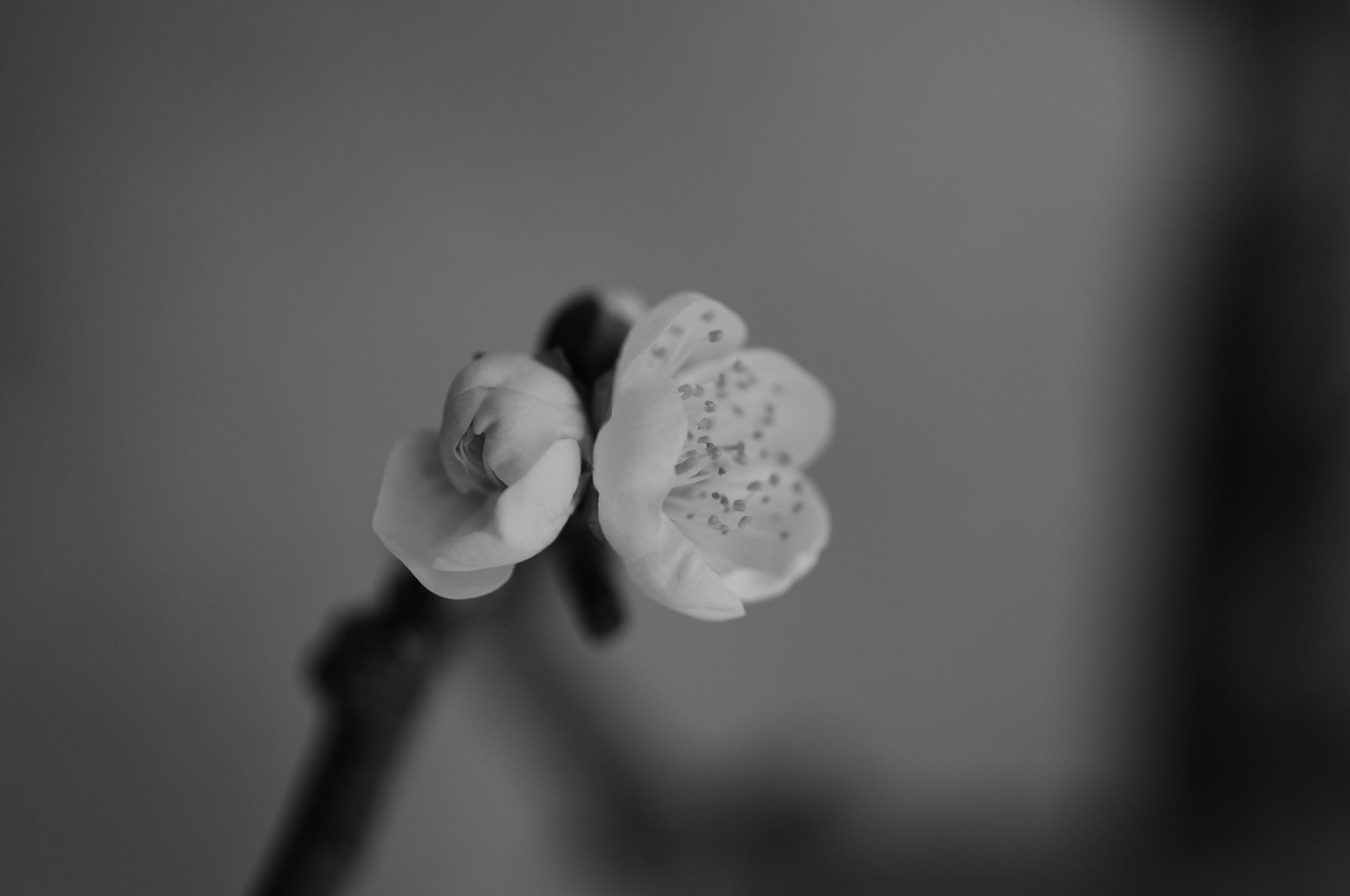 a0156601_9134037.jpg