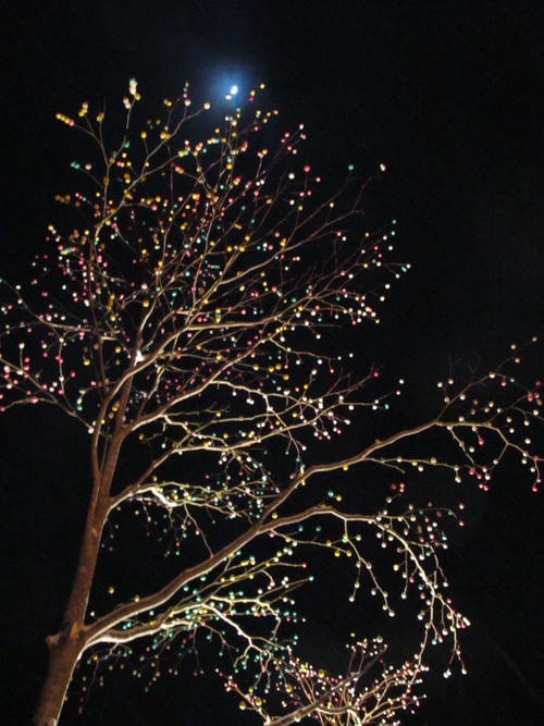 大内宿雪祭り☆_b0152504_23305743.jpg