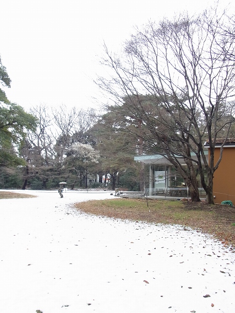 雪景色のすみれば_b0049307_1191231.jpg