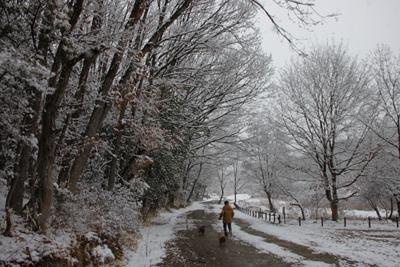 2月11日　雪の平和公園_b0042113_2110291.jpg