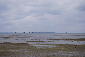a0031714_2358962.jpg