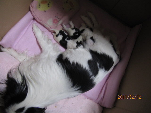 c0200916_16303916.jpg