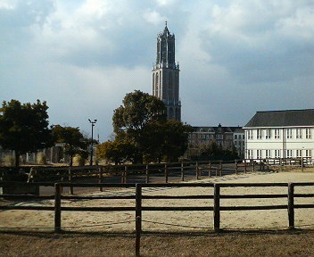 f0053218_1065448.jpg