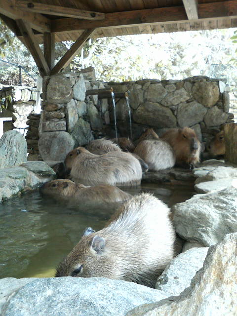 f0053218_13293879.jpg