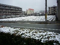 c0133422_21381532.jpg