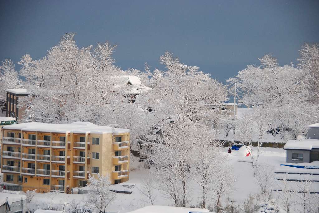 雪明かりちょっと一服して　　　大雪の朝_d0109428_11193325.jpg