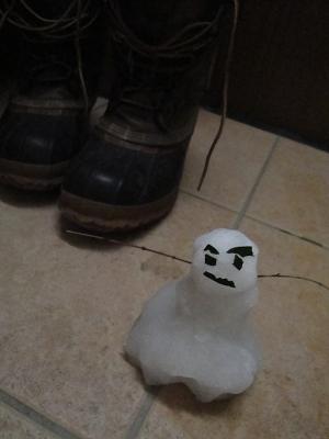 雪と言えば♪_e0170128_9502186.jpg