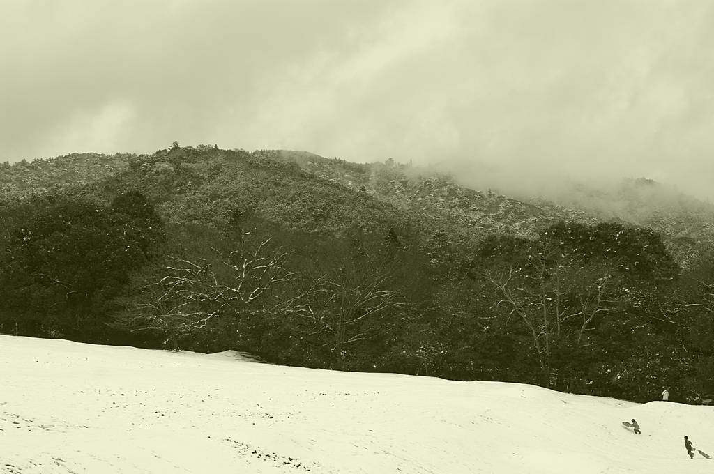 雪の降る奈良を_e0145635_23435175.jpg