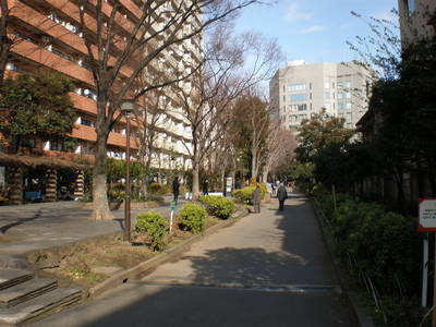 b0042238_1473471.jpg