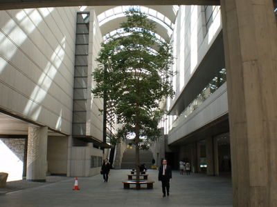 b0042238_255967.jpg