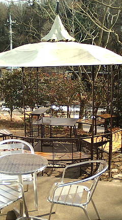 a0116439_1114991.jpg