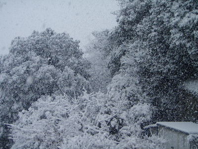 a0054240_23181322.jpg