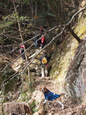 c0119142_812487.jpg