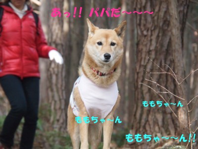 c0119142_965511.jpg