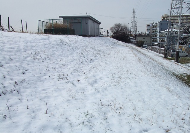 Snow in Osaka_e0046748_1633952.jpg