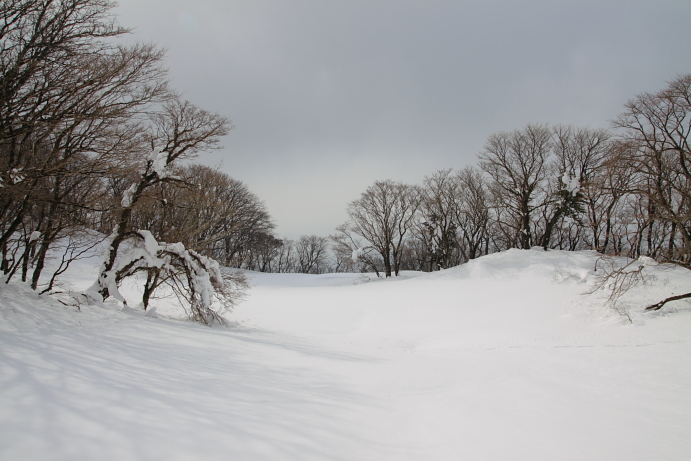 御池岳・雪のテーブルランドへ_e0141051_17511836.jpg