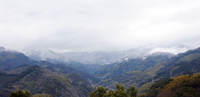 雪が降りました_f0206452_1322372.jpg