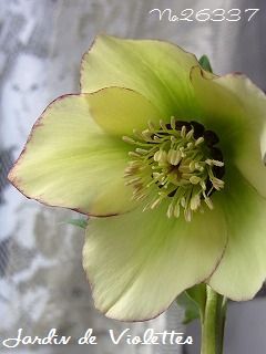 e0118257_1835695.jpg