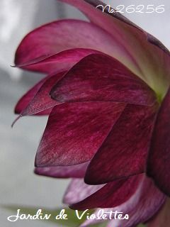 e0118257_1881391.jpg