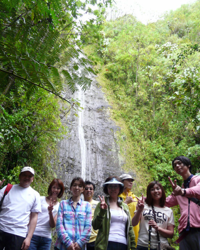 MANOA FALLS TRAIL_a0132260_17563127.jpg