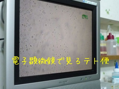 f0177261_1895853.jpg