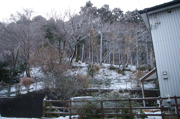 六国見山（高野台）はまるで雪国、凍結が心配だ！（２・１２）_c0014967_12234629.jpg