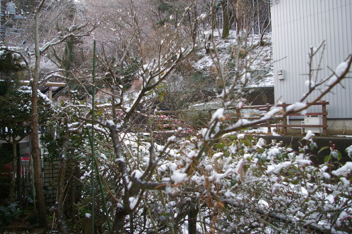 六国見山（高野台）はまるで雪国、凍結が心配だ！（２・１２）_c0014967_12255063.jpg