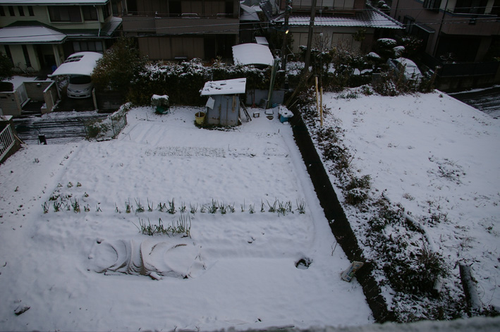 六国見山（高野台）はまるで雪国、凍結が心配だ！（２・１２）_c0014967_1227995.jpg