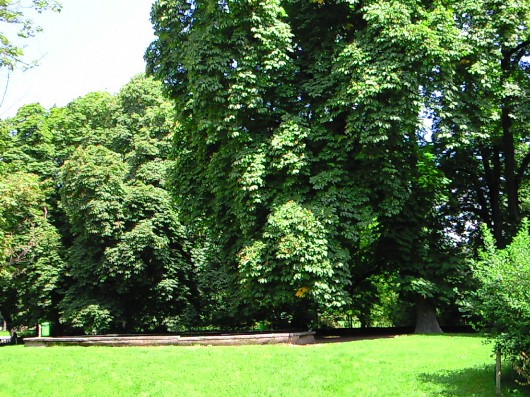 MILANO ５：PARCO SEMPIONE （2008.6.18）_d0043369_1584225.jpg