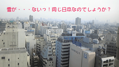 d0050871_18544730.gif