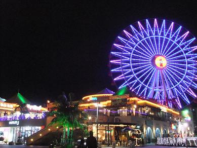 冬の沖縄おさんぽ旅2011 -トニーローマ&ヨーグルトランド-_b0208577_0191312.jpg