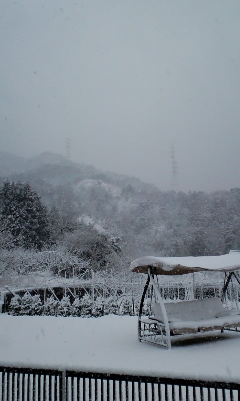 c0228378_815381.jpg