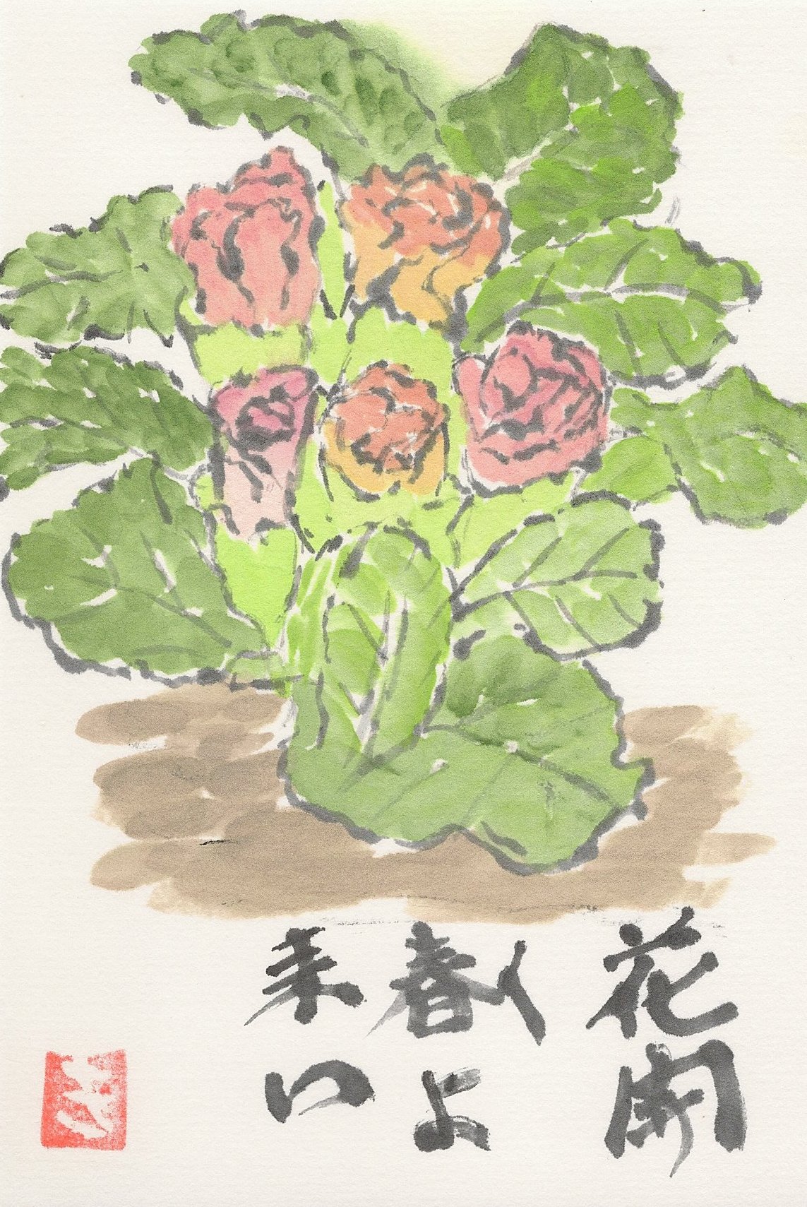 花キャベツ 空飛ぶ絵手紙畑