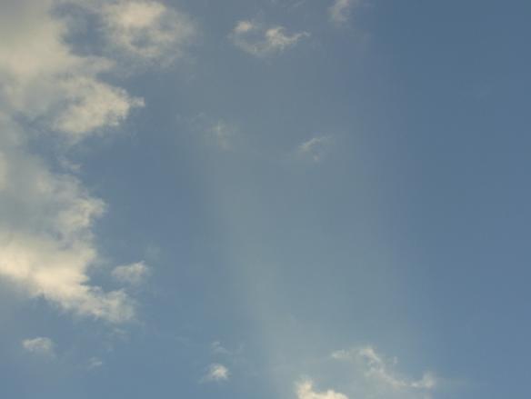 c0122788_16474731.jpg
