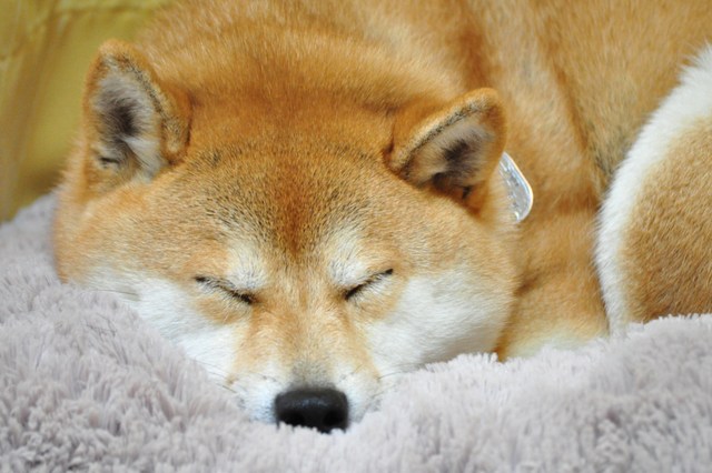 我が物顔で_a0126590_10114662.jpg