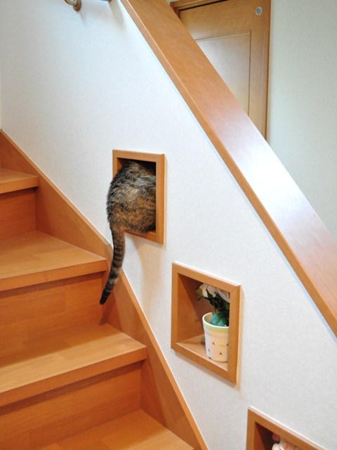 我が物顔で_a0126590_1013056.jpg